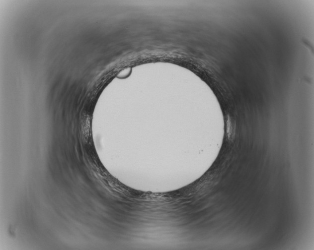 X0000102251492200808221341