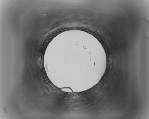 X0000102251493200808221341