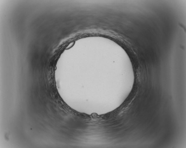 X0000102251494200808221341