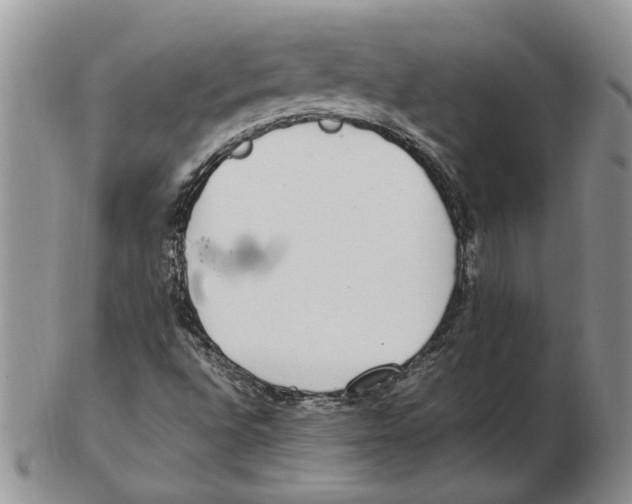 X0000102251496200808221341