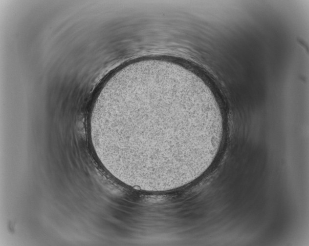 X0000102251497200808221341