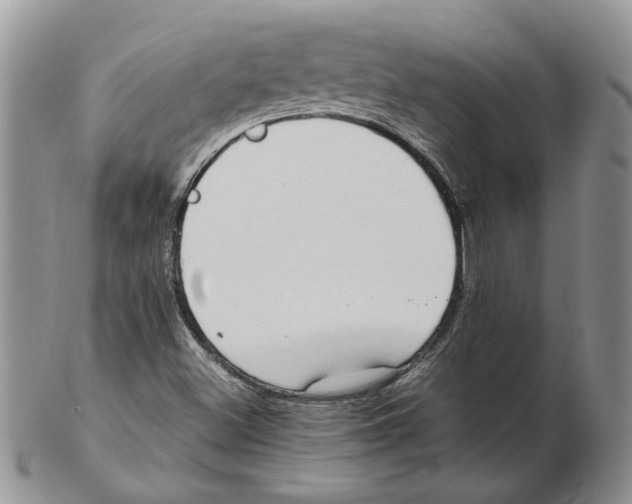 X0000102251500200808221341