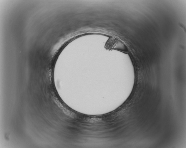 X0000102251503200808221341
