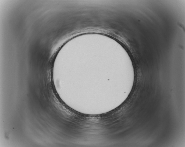 X0000102251504200808221341