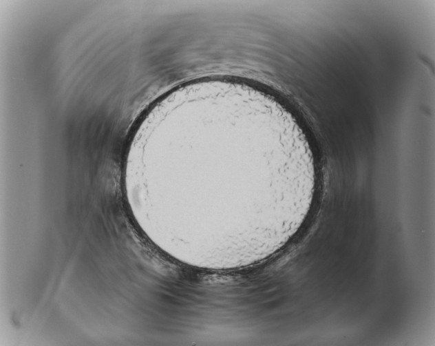 X0000102251505200808221341