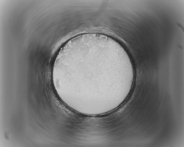 X0000102251506200808221341
