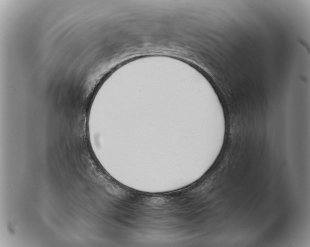X0000102251507200808221341
