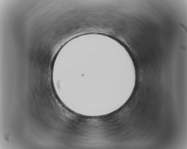 X0000102251508200808221341