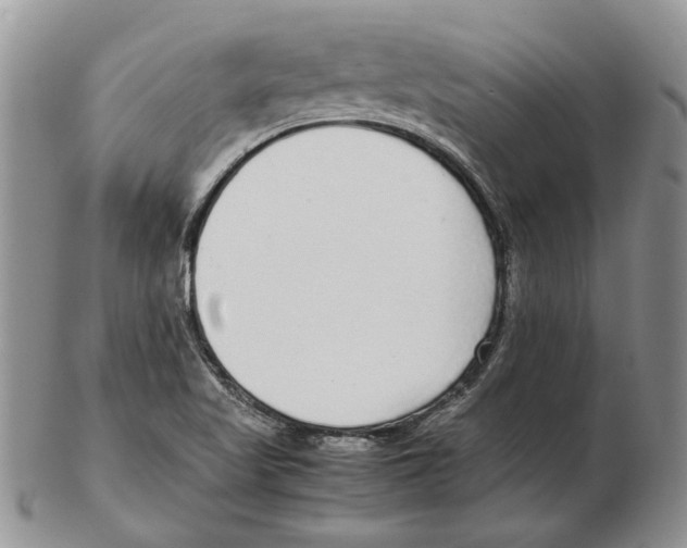X0000102251509200808221341