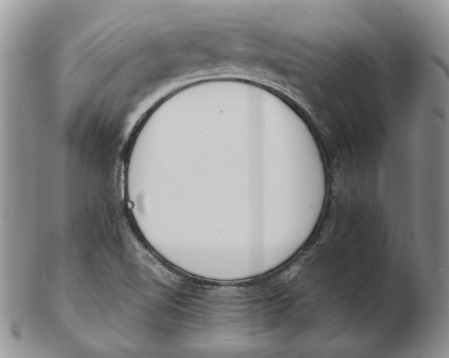 X0000102251510200808221341