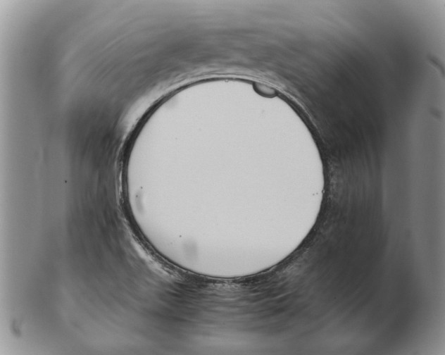 X0000102251511200808221341