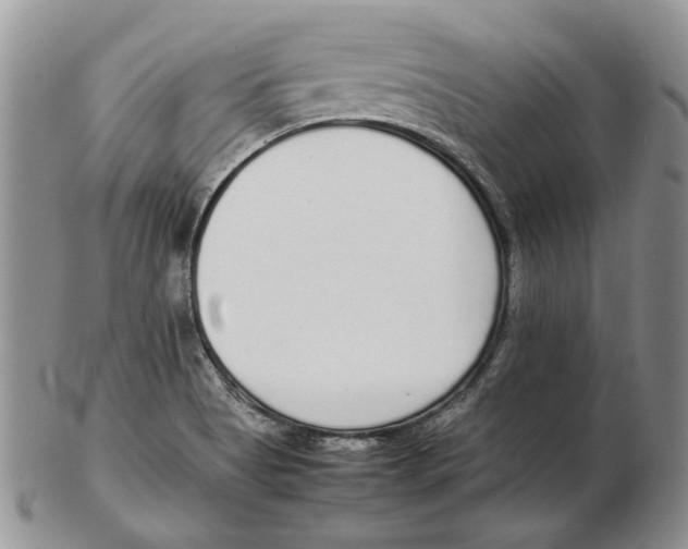 X0000102251513200808221341