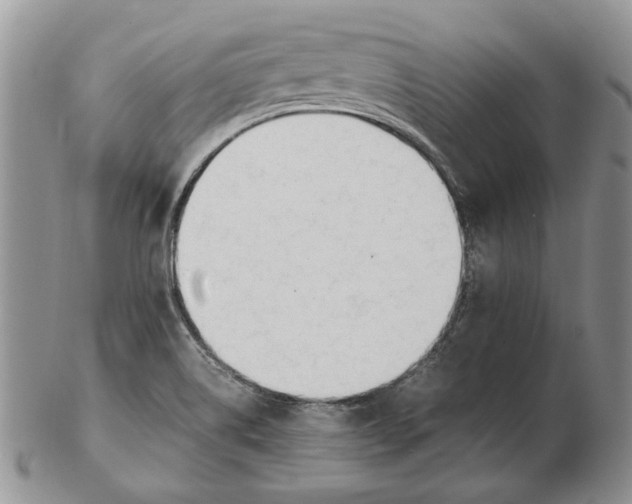 X0000102251514200808221341