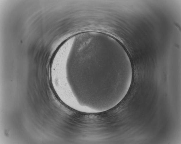 X0000102251515200808221341