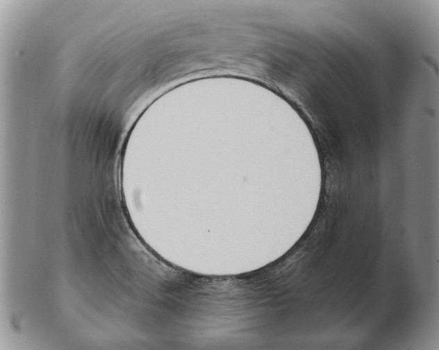 X0000102251516200808221341