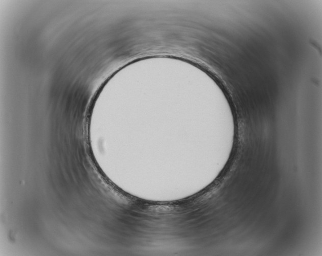 X0000102251517200808221341