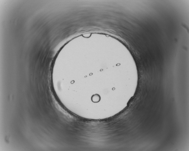 X0000102251518200808221341