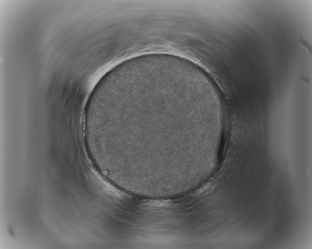 X0000102251519200808221341