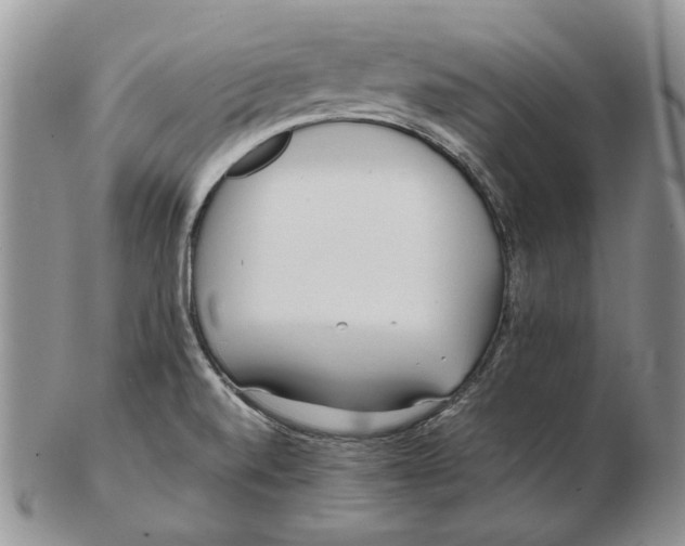 X0000102251520200808221341