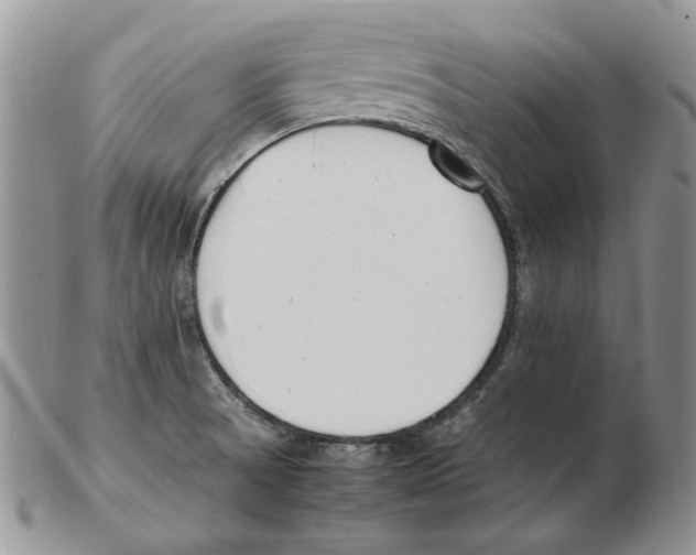 X0000102251521200808221341