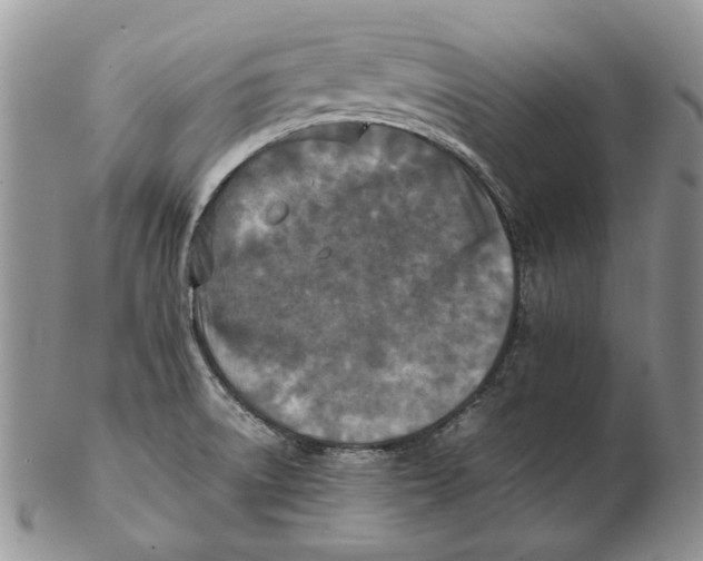 X0000102251522200808221341