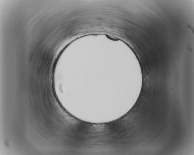 X0000102251523200808221341