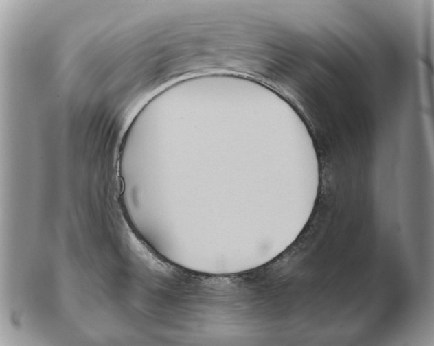 X0000102251524200808221341