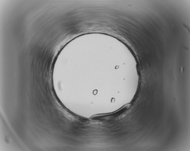 X0000102251525200808221341