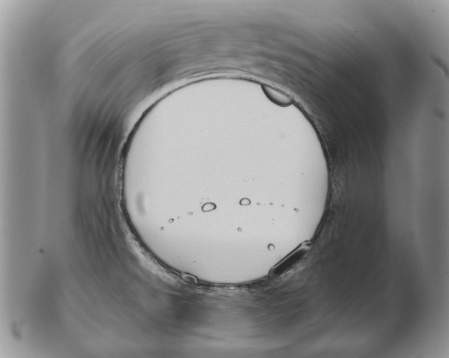 X0000102251526200808221341