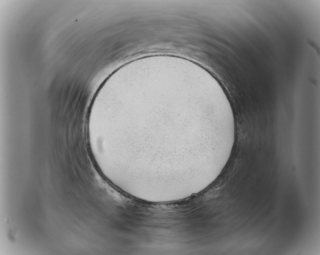 X0000102251527200808221341