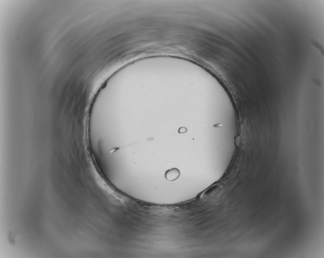 X0000102251528200808221341