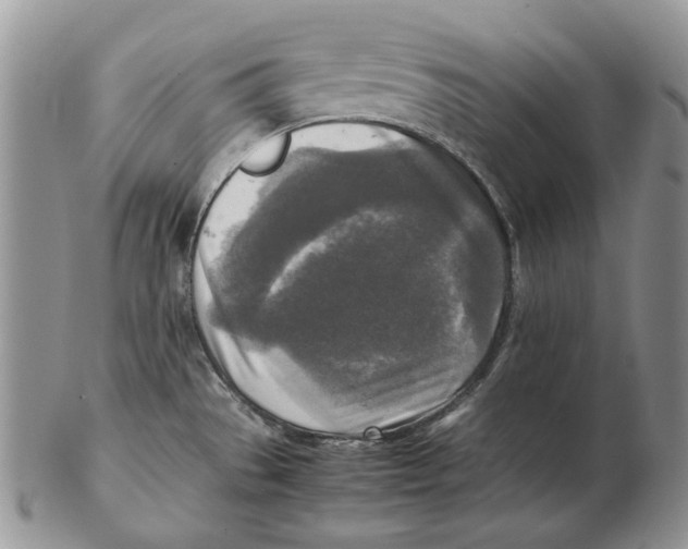 X0000102251529200808221341
