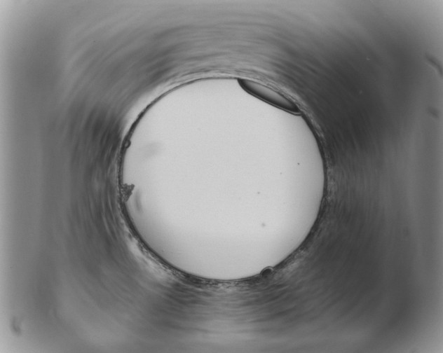 X0000102251530200808221341