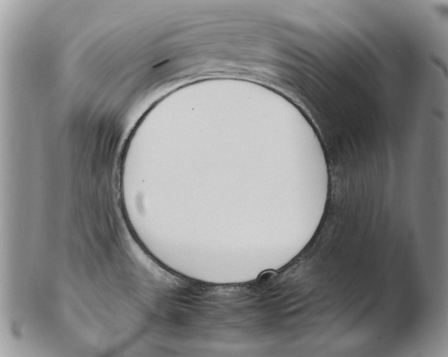 X0000102251531200808221341