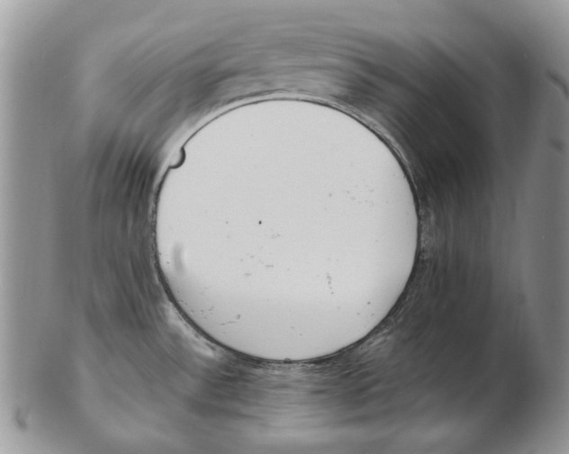X0000102251532200808221341
