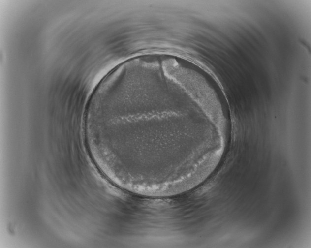 X0000102251533200808221341