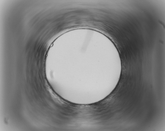 X0000102251534200808221341