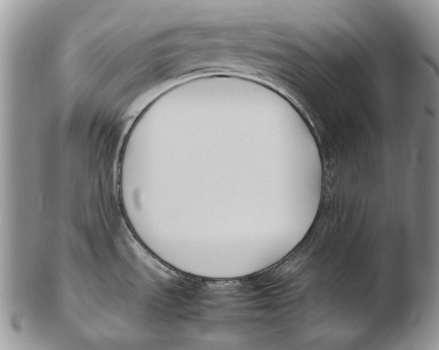 X0000102251535200808221341