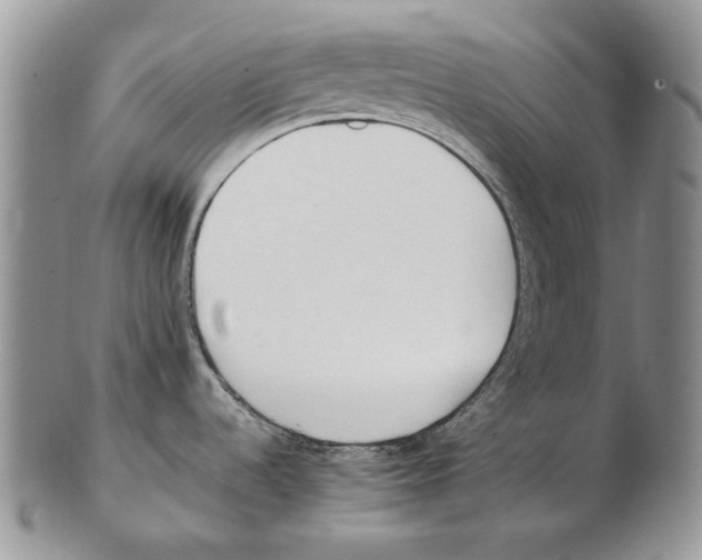 X0000102251536200808221341