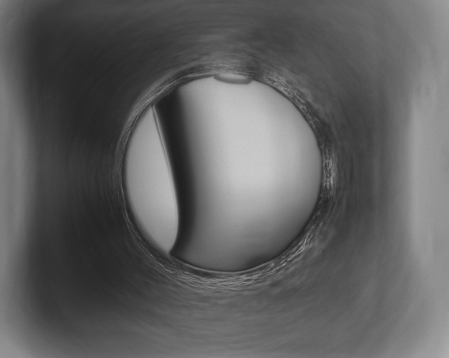 X0000102260004200807250847