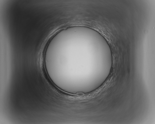 X0000102260005200807250847