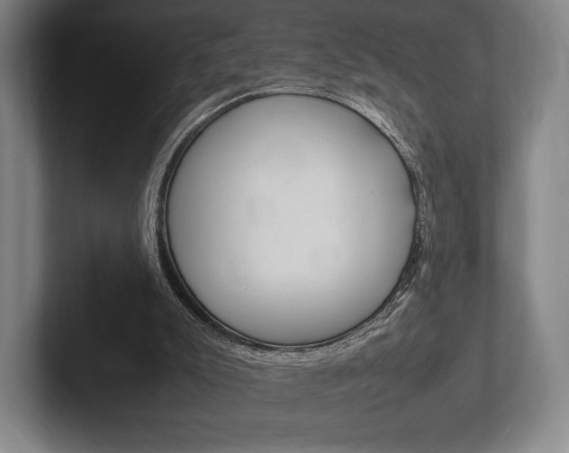 X0000102260007200807250847
