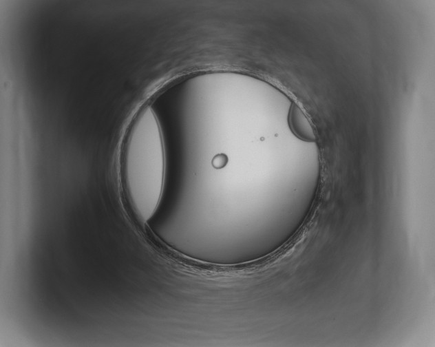 X0000102260008200807250847