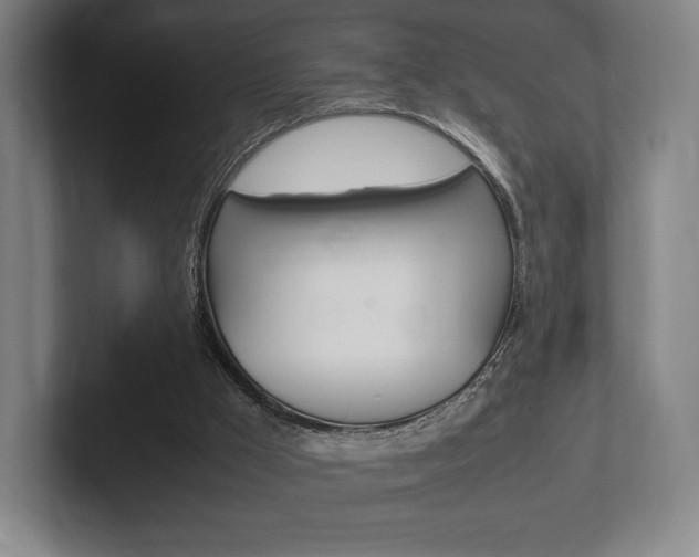 X0000102260009200807250847