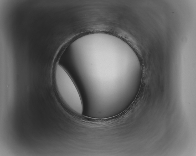 X0000102260012200807250847