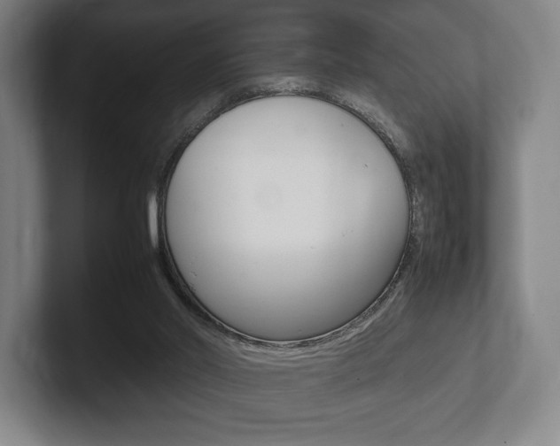 X0000102260014200807250847