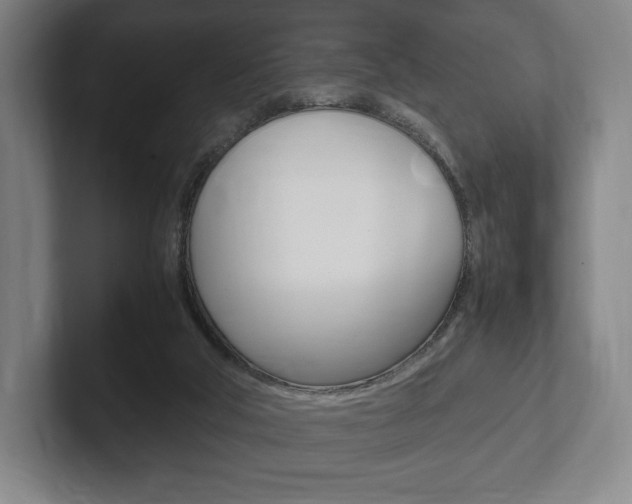 X0000102260018200807250847