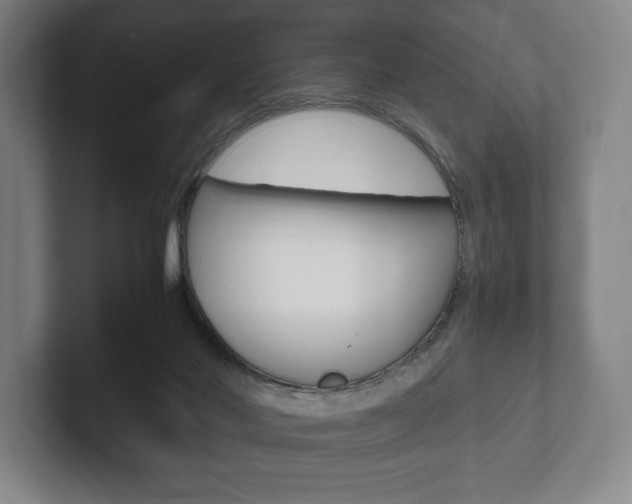 X0000102260022200807250847