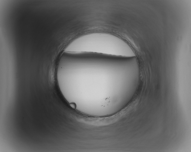 X0000102260023200807250847