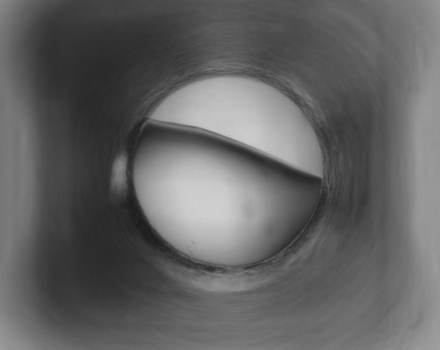 X0000102260024200807250847